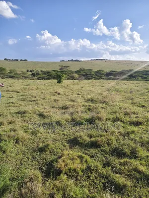 Land and Plots