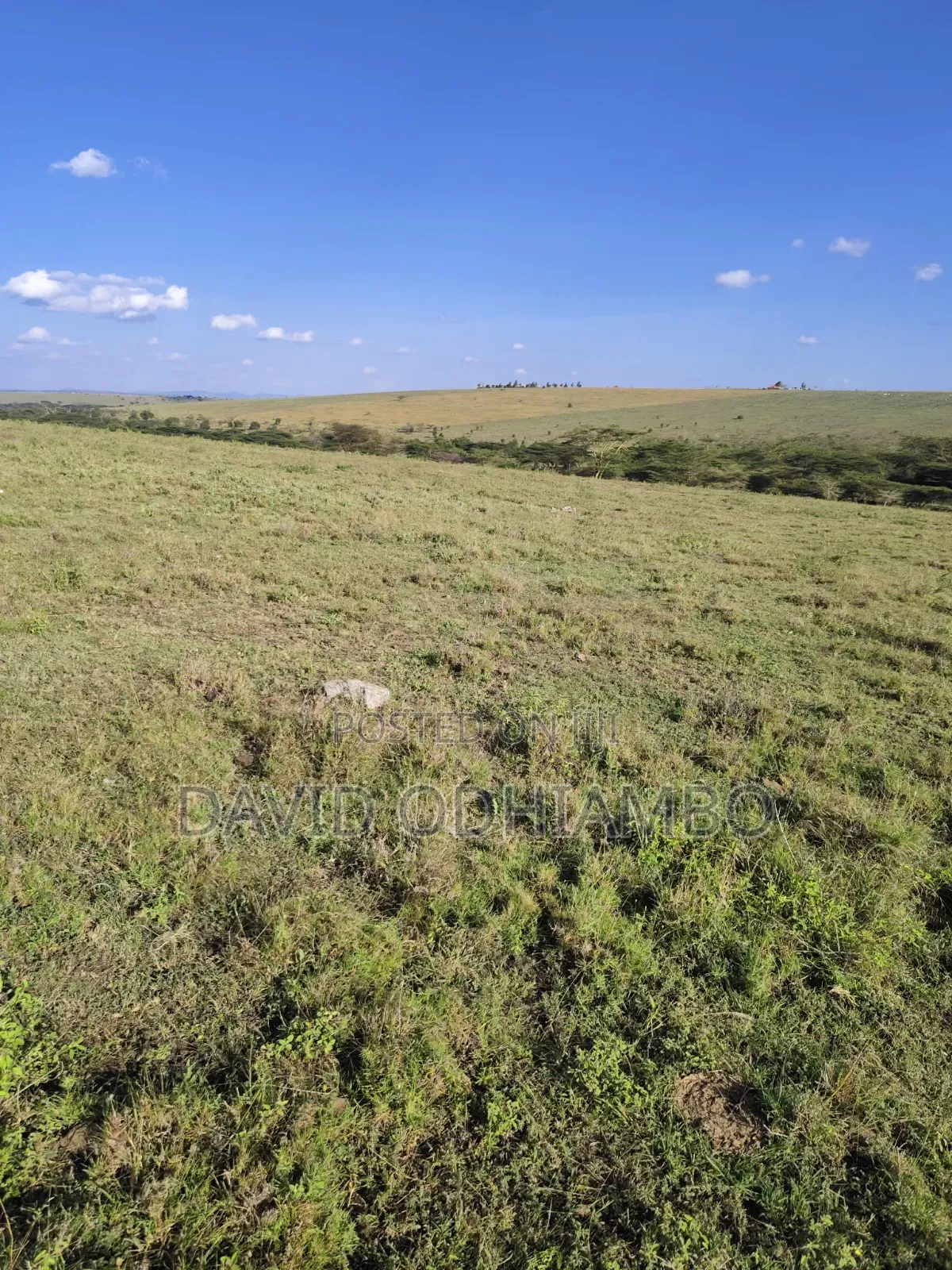 Land and Plots