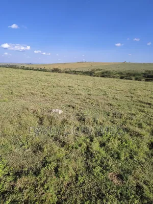 Land and Plots