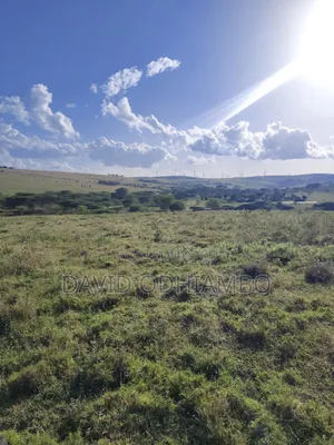 Land and Plots