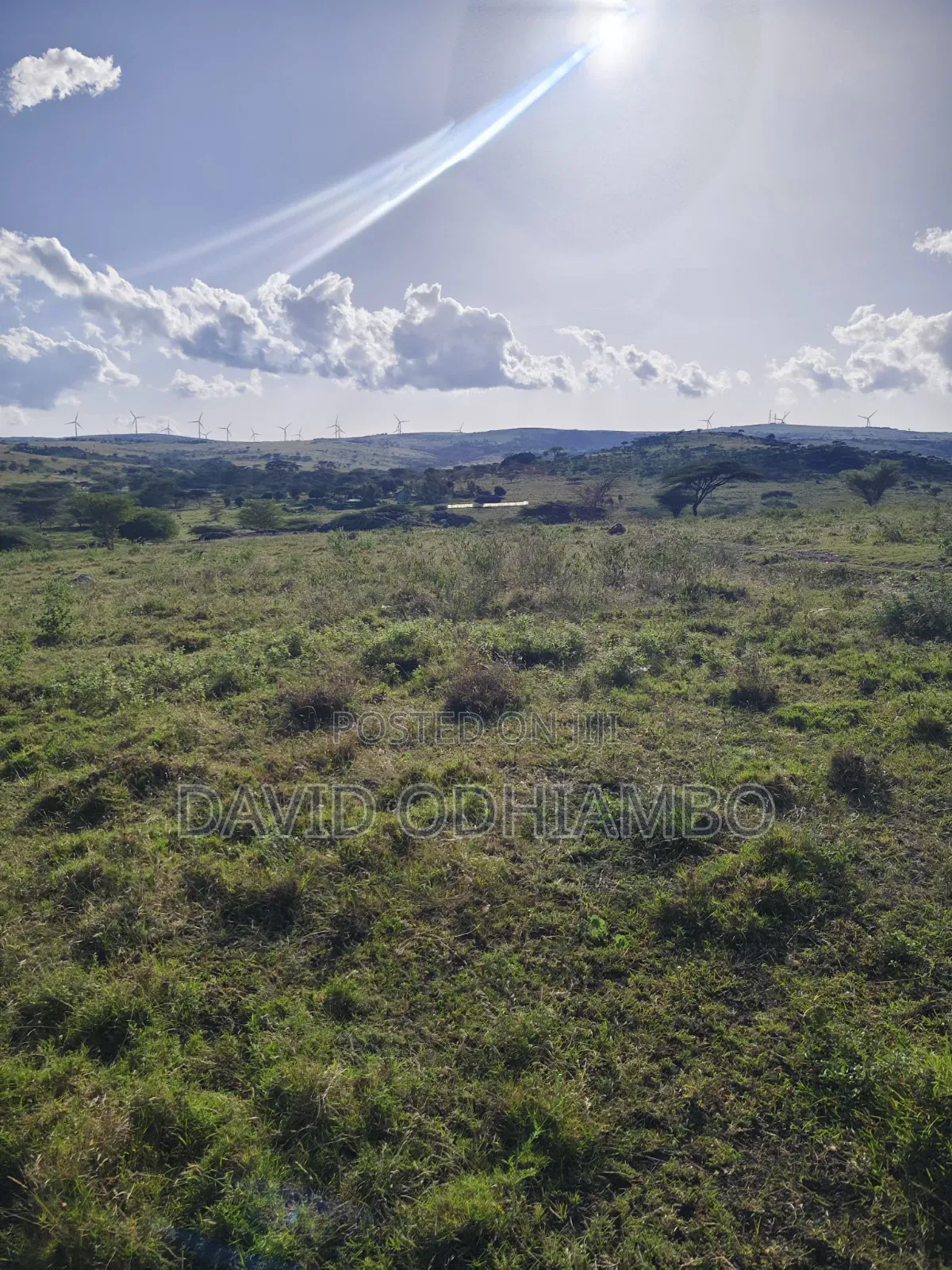 Land and Plots
