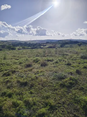 Land and Plots