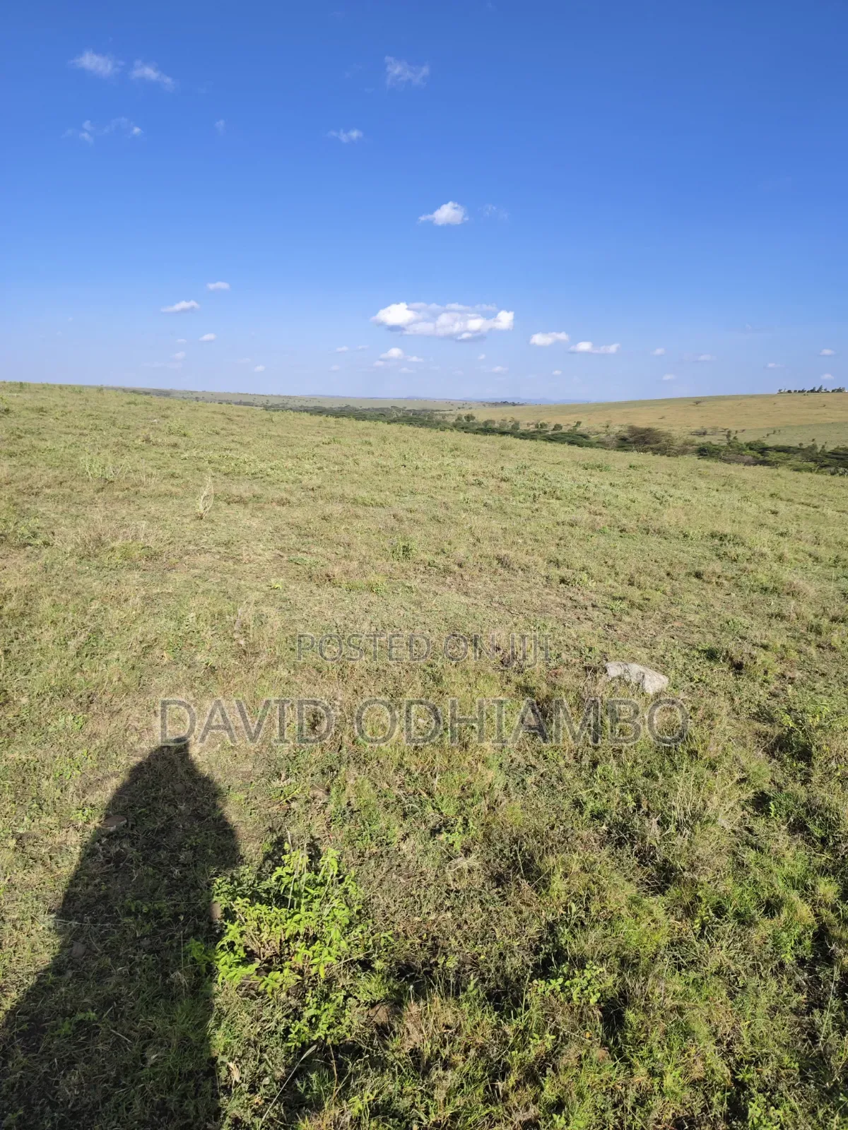 Land and Plots
