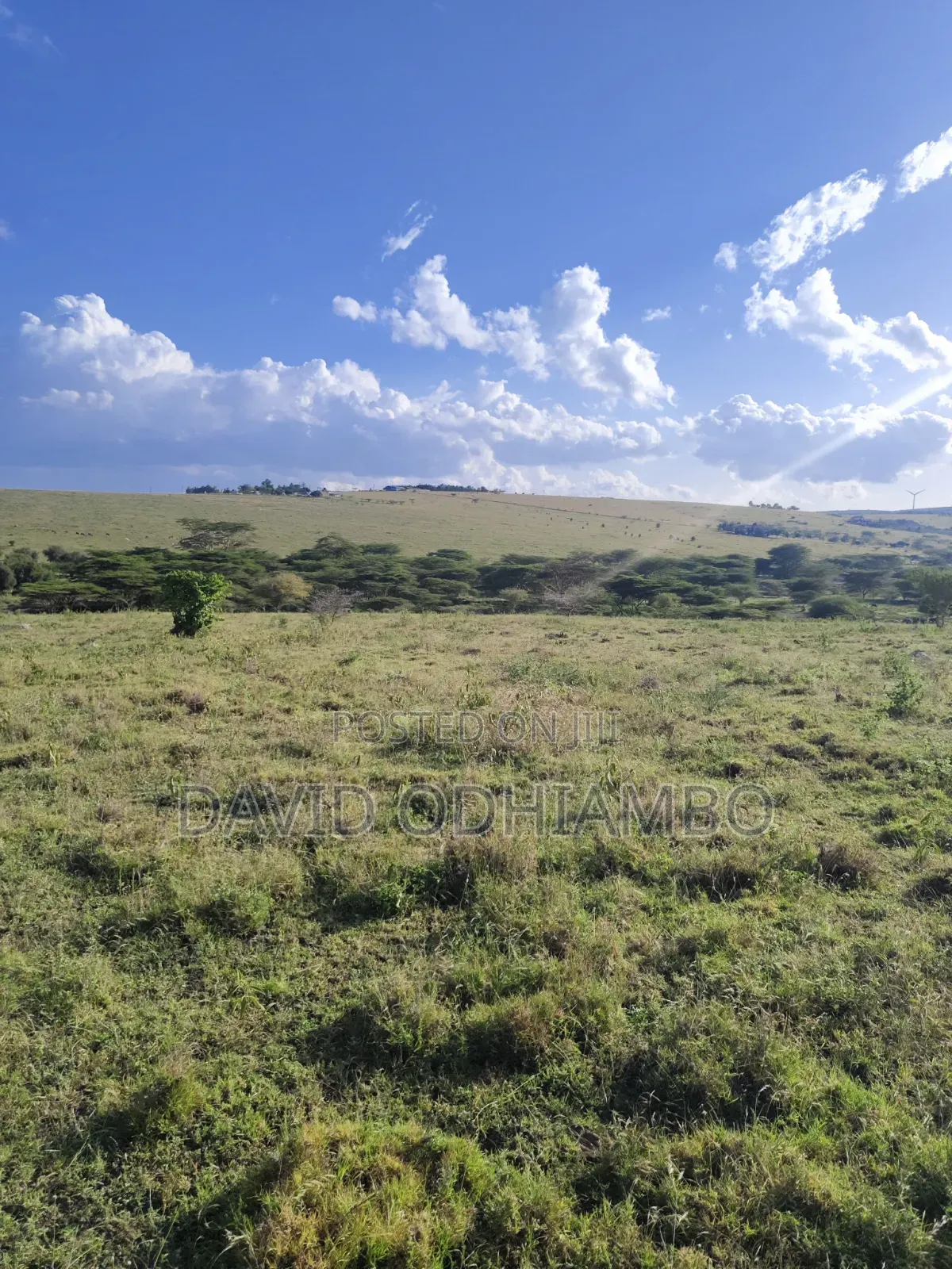 Land and Plots