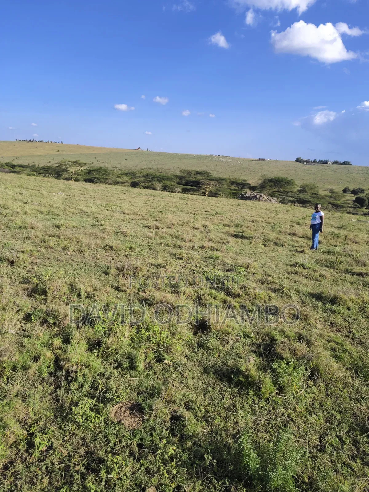 Land and Plots