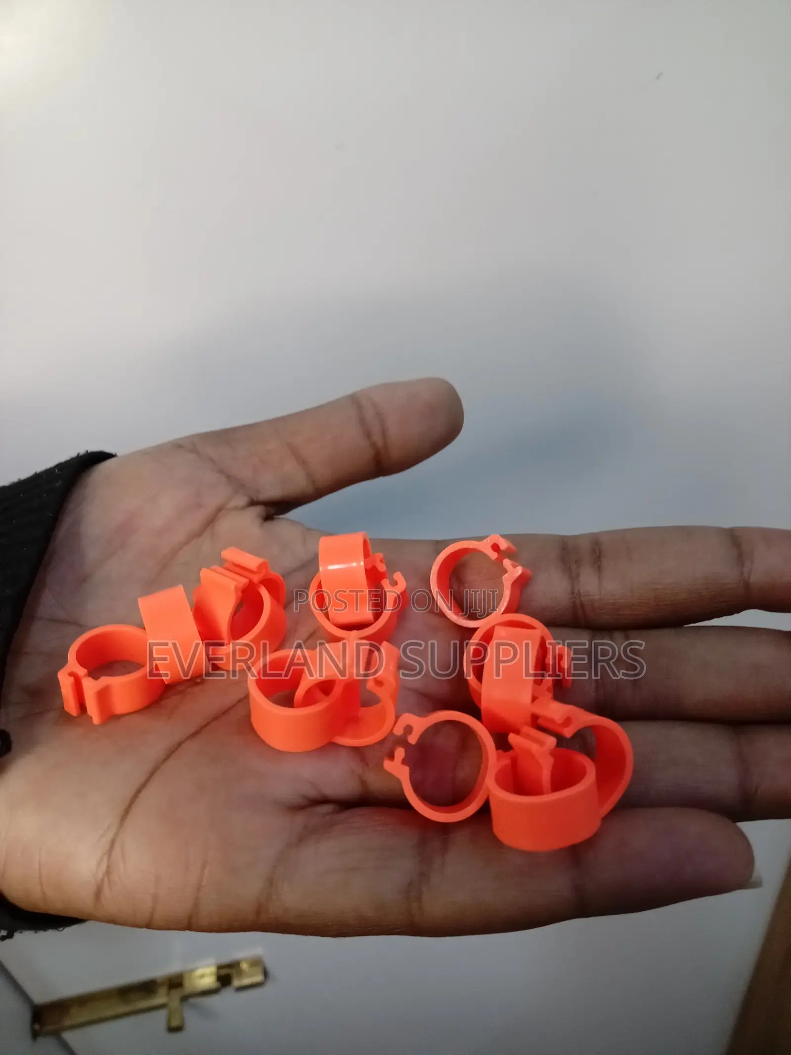 Orange Small Chicken Bands