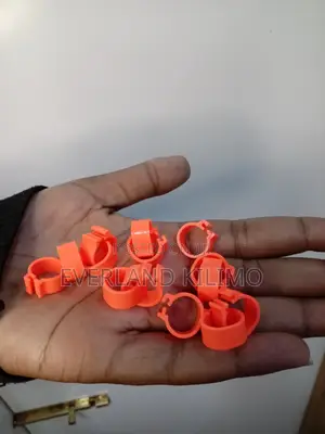 Orange Small Chicken Bands