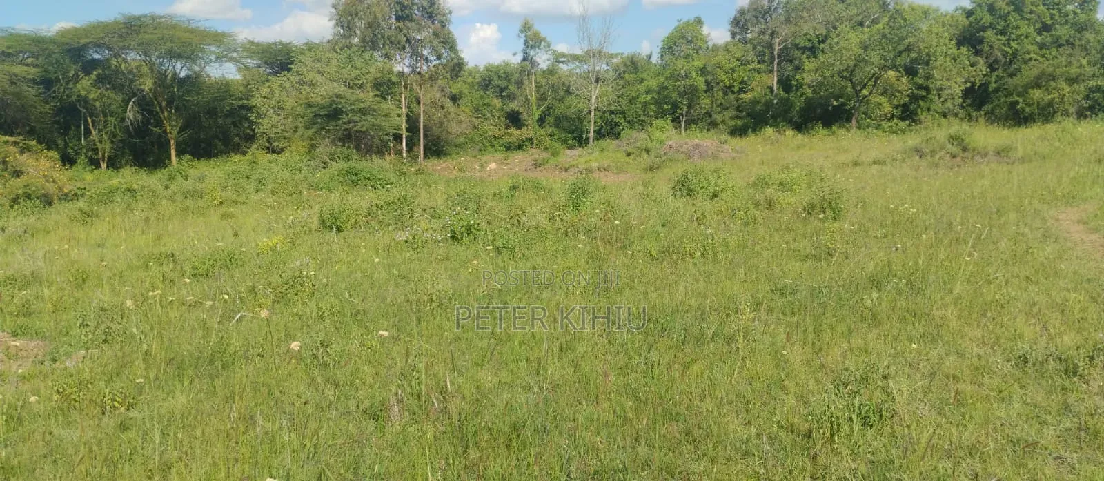 Karen Kcb 4 Parcels Of 1/2ac Plots