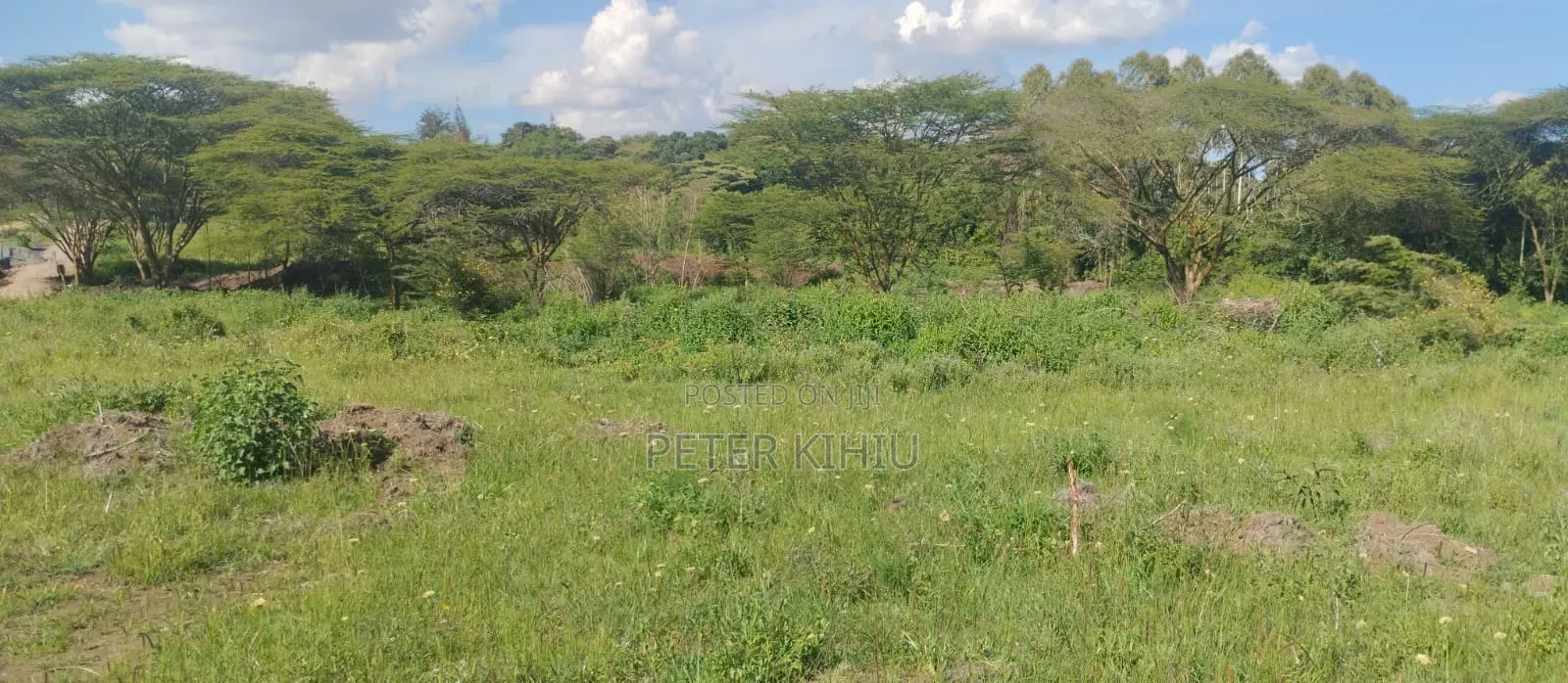Karen Kcb 4 Parcels Of 1/2ac Plots