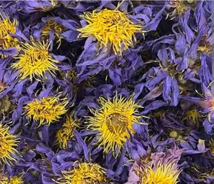 Organic Blue Lotus Flowers