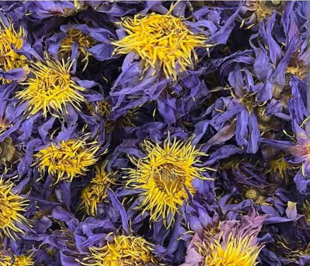 Organic Blue Lotus Flowers - main view