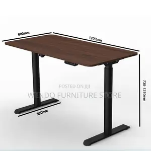Office Desk; 1.2 Meters Liftable Height Electric Ergonomic Style Desk