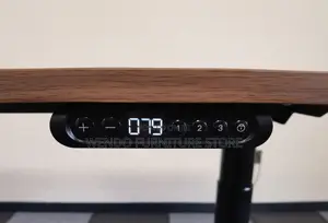 Office Desk; 1.2 Meters Liftable Height Electric Ergonomic Style Desk