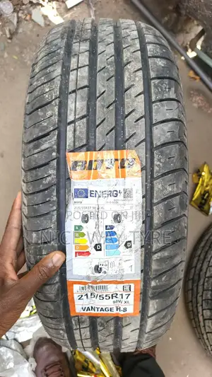 215/55r17 Boto