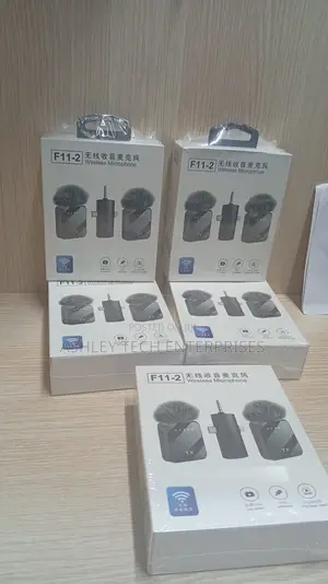 Smart F11-2 3-in-1 Microphone