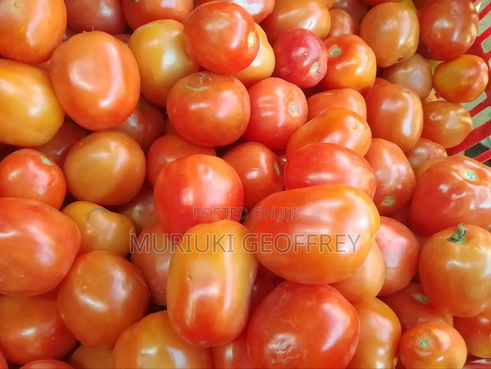 Vegetables