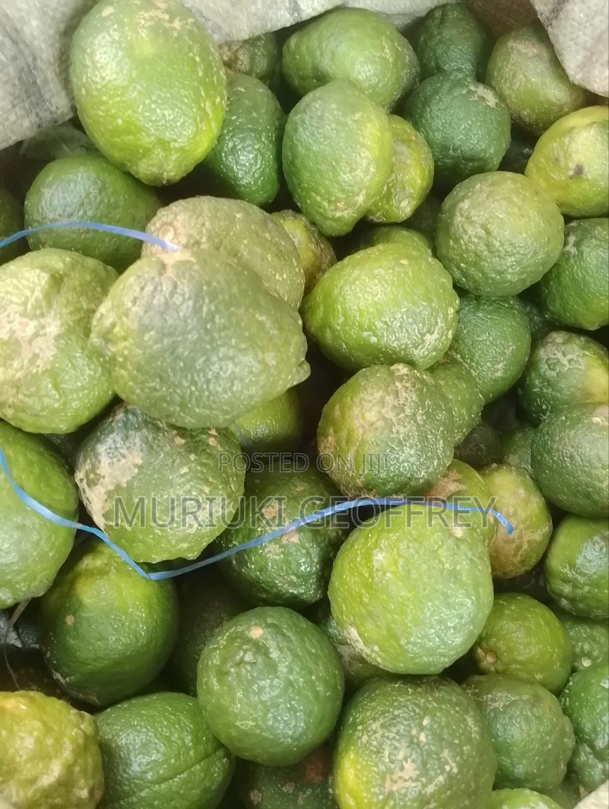 Vegetables