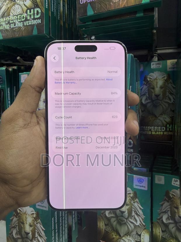 Apple iPhone 15 Pro Max 256 GB Silver