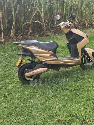 Luojia LJ150-2 2022 Brown