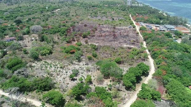 1⁄2 Acre Plots (10 Available) Beachfront Plots - thumbnail 2