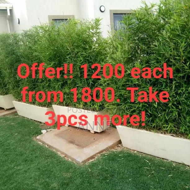 Flower Pots And Landscaping