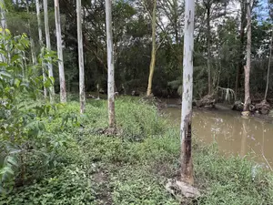Prome Land for Sale Along Bypass Next to Ruai Junction