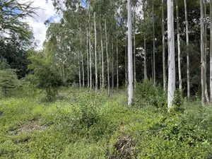 Prome Land for Sale Along Bypass Next to Ruai Junction