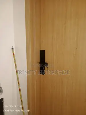 Smart Lock Tsyh Tuya Wifi Digital Unlocking Password Fingerprints Card