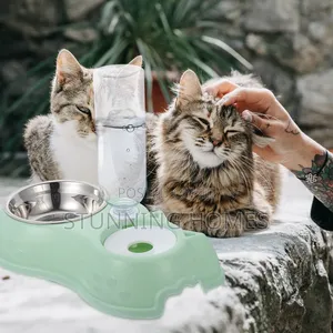Automatic 2 in 1 Pet Bowl With Water Dispenser