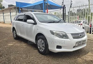 Toyota Corolla Fielder 2009 White