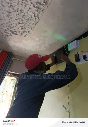 Professional Electrician