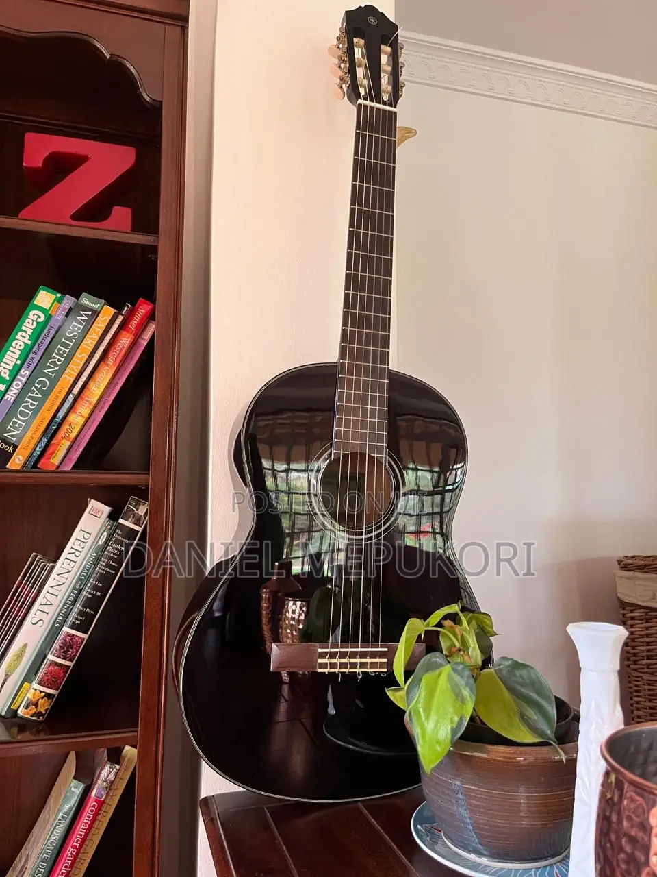 Yamaha C40 Guitar, Deep Purple With Chrome and Rubber