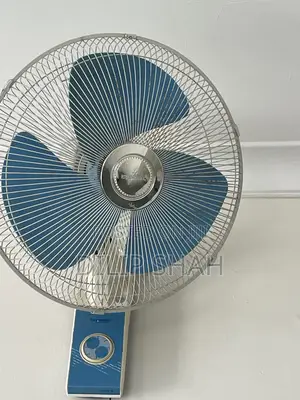 Oscillating Wall Fans