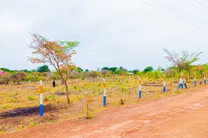 Matuu Plots Touching Tarmac
