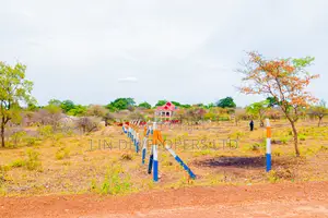 Matuu Plots Touching Tarmac