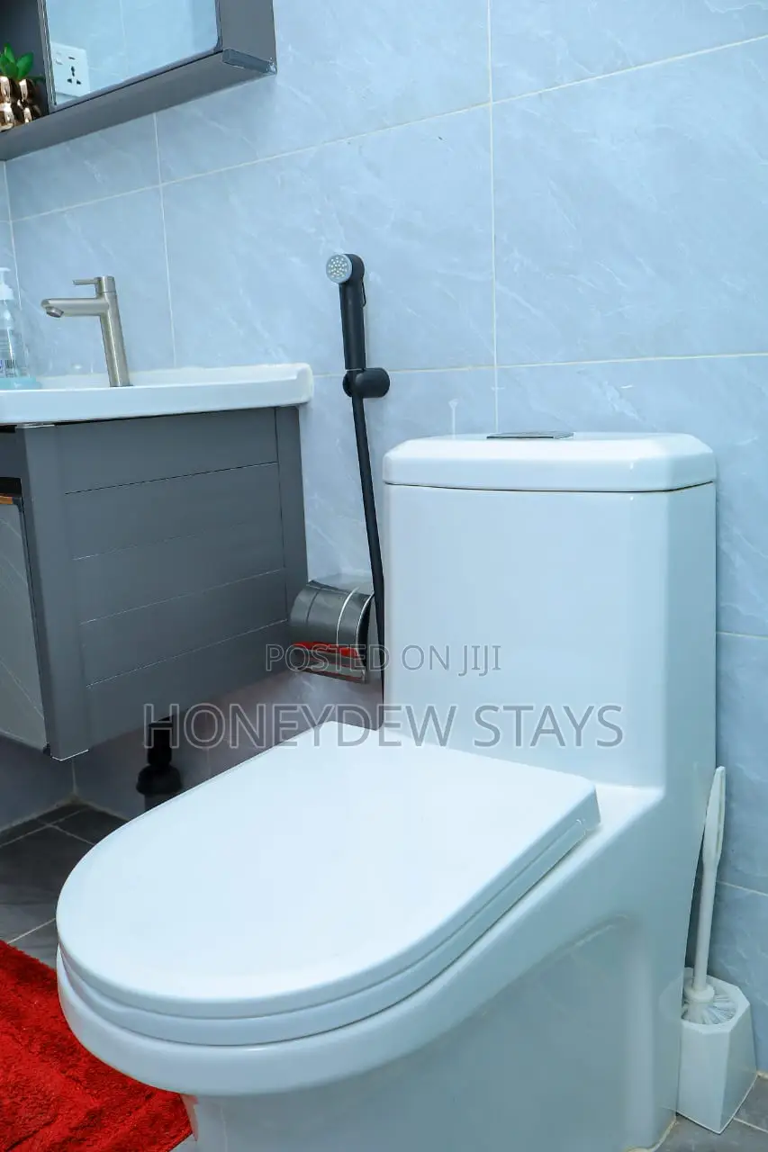 Furnished Studio at Sabaki Near Signature Mall, Mombasa Road