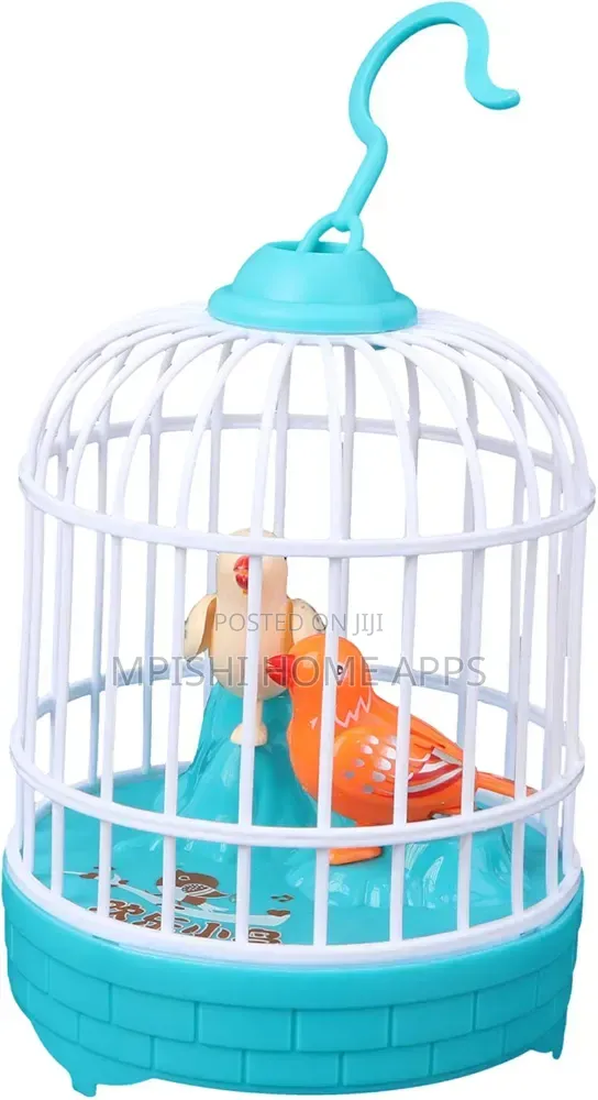 Talking Parrot Bird Cage