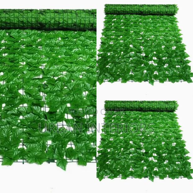 Green Leafy Privacy for Indoor and Outdoor Spaces