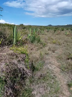 100×100 Plot in Lukenya Area Near Kinanie Shopping Centre