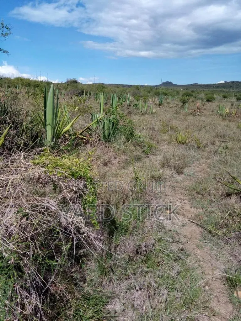 100×100 Plot in Lukenya Area Near Kinanie Shopping Centre