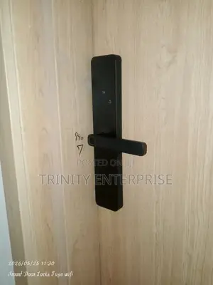 Smart Lock Tuya Wifi Electronic Door Lock