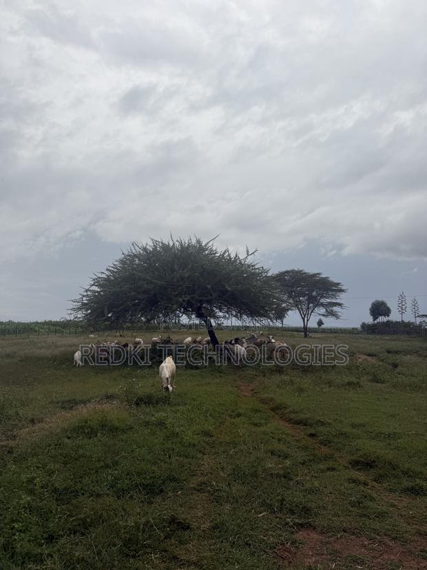 14 Arces Eor Enkule Narok 1.8km From Tarmac - thumbnail 2