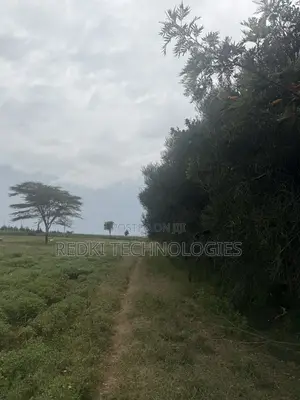 14 Arces Eor Enkule Narok 1.8km From Tarmac