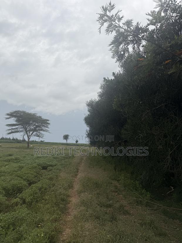 14 Arces Eor Enkule Narok 1.8km From Tarmac