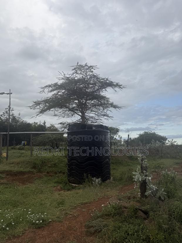 14 Arces Eor Enkule Narok 1.8km From Tarmac - thumbnail 5