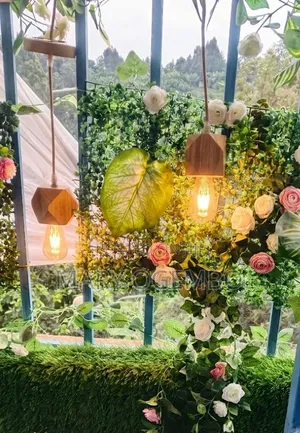 Geometric Lights