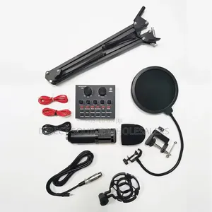 Bm800 Condenser Mic With Stand Pop Filter