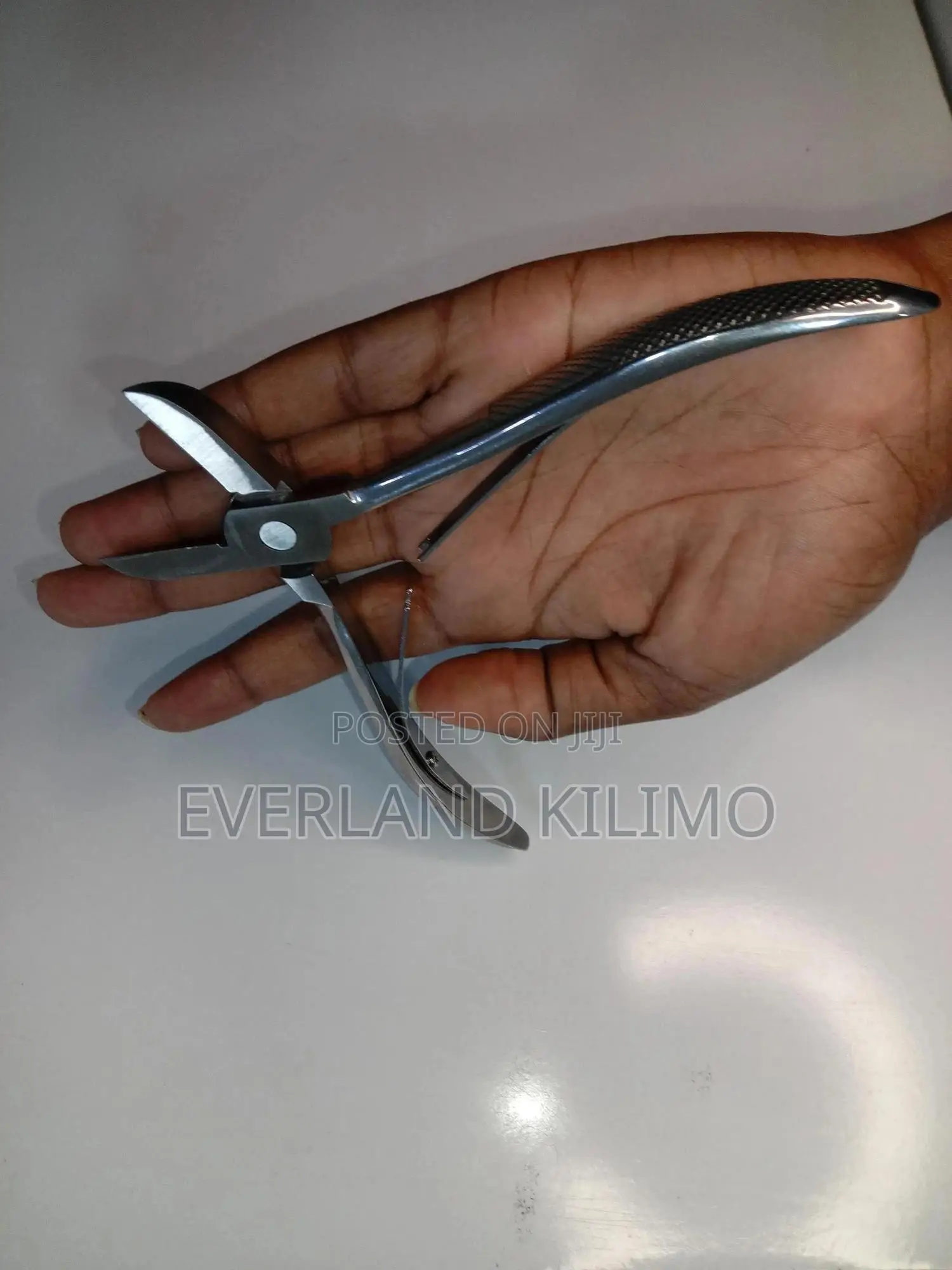 Stainless Teeth Clipper for Pigs