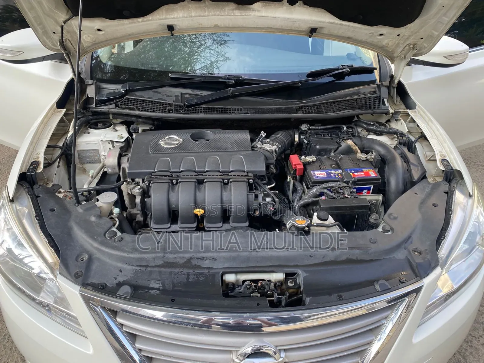 Nissan Sylphy 2016 White