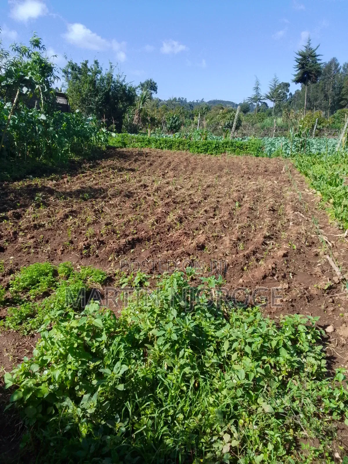2 Acres Githirioni